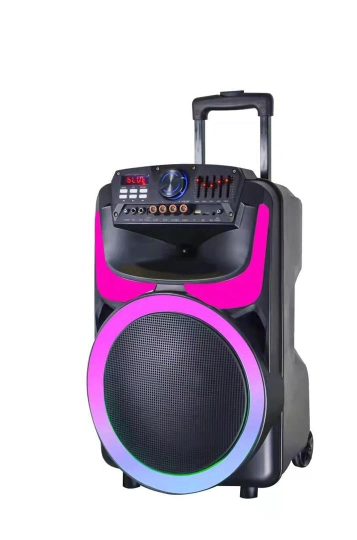 اسپیکر شارژی حرفه ایی چمدونی کنکورد(دیاموند) مدل 1201